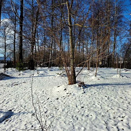 Egliskiu Oaze Su Pirtimi Kubilu- Privatumas Garantuotas * Vilnius