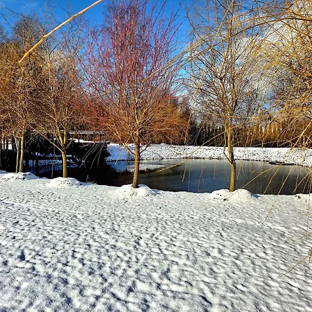 Egliskiu Oaze Su Pirtimi Kubilu- Privatumas Garantuotas 度假居 维尔纽斯