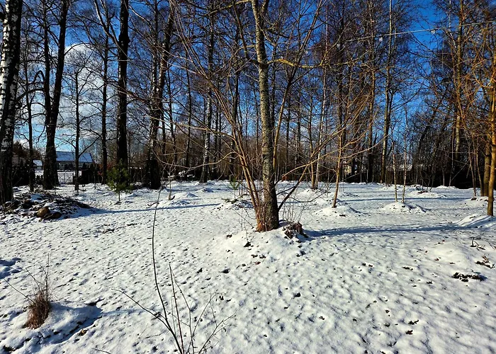 Egliskiu Oaze Su Pirtimi Kubilu- Privatumas Garantuotas * Vilnius